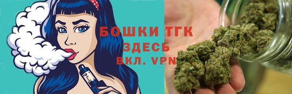 сатива Протвино