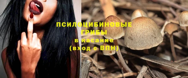 сатива Протвино